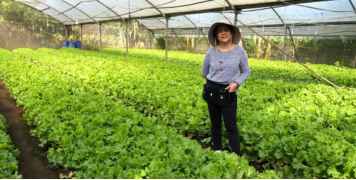 Healthy Meal Plans and Salads By Isabel's